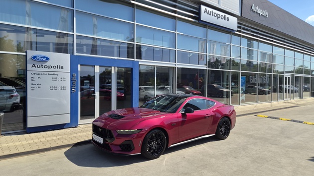 FORD Mustang S650 GT "Nite Pony" vehicle-image