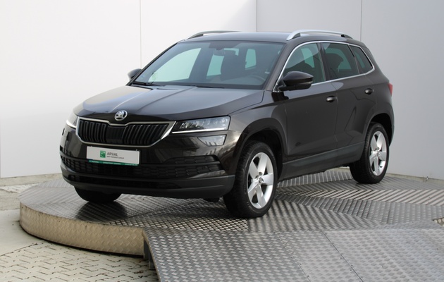 ŠKODA Karoq Style vehicle-image