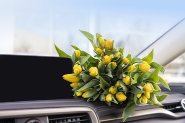 Týždeň žien v AUTOPOLIS